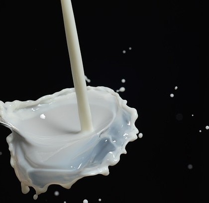 Lejące się mleko