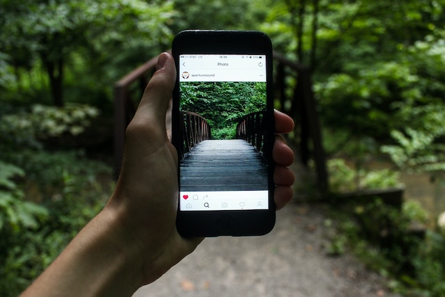 smartfon z instagramem w ręce na tle lasu